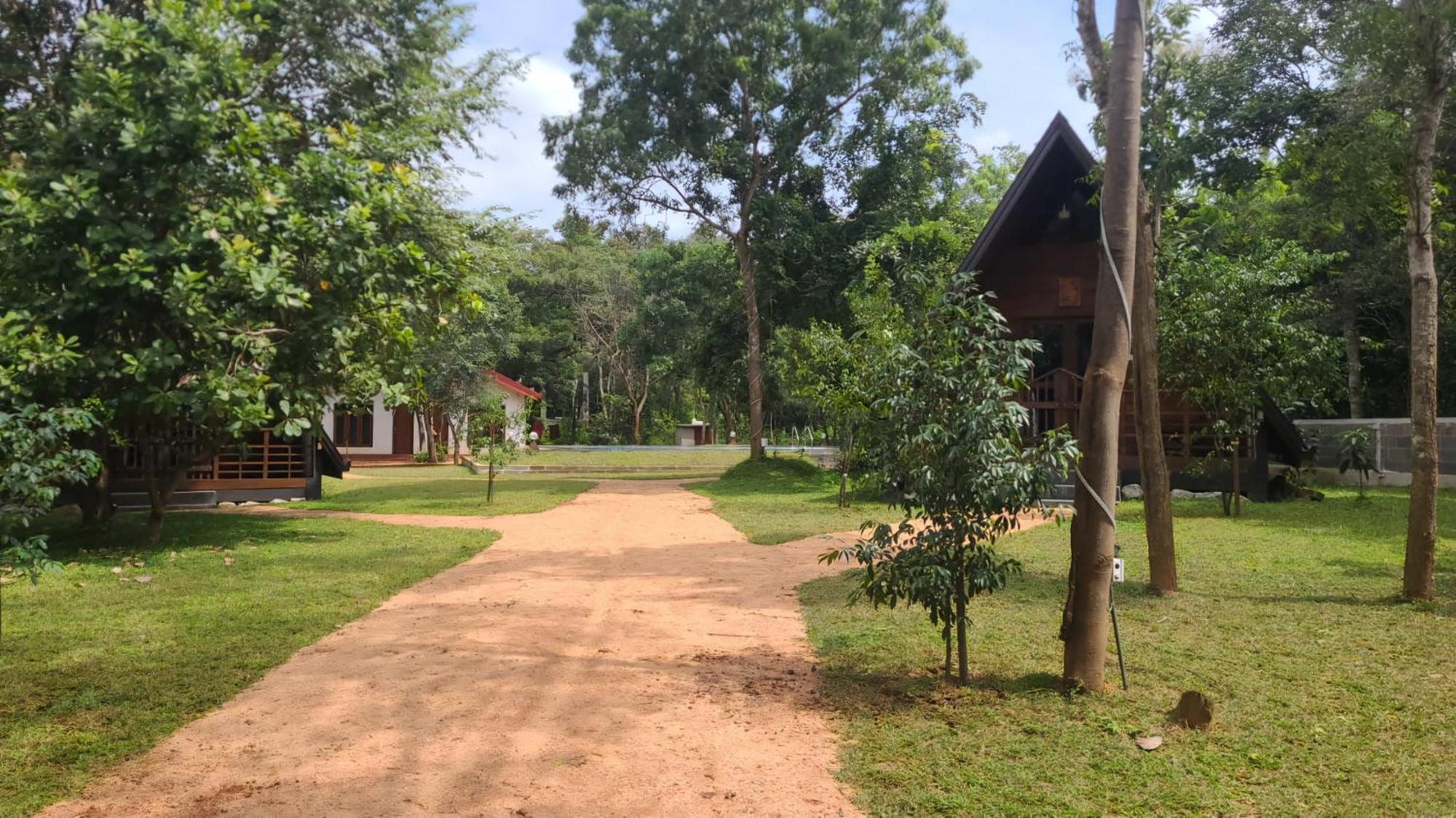 Lion King Jungle Cabanas Sigiriya Eksteriør bilde
