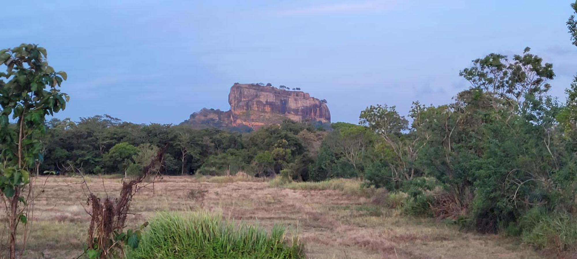 Lion King Jungle Cabanas Sigiriya Eksteriør bilde