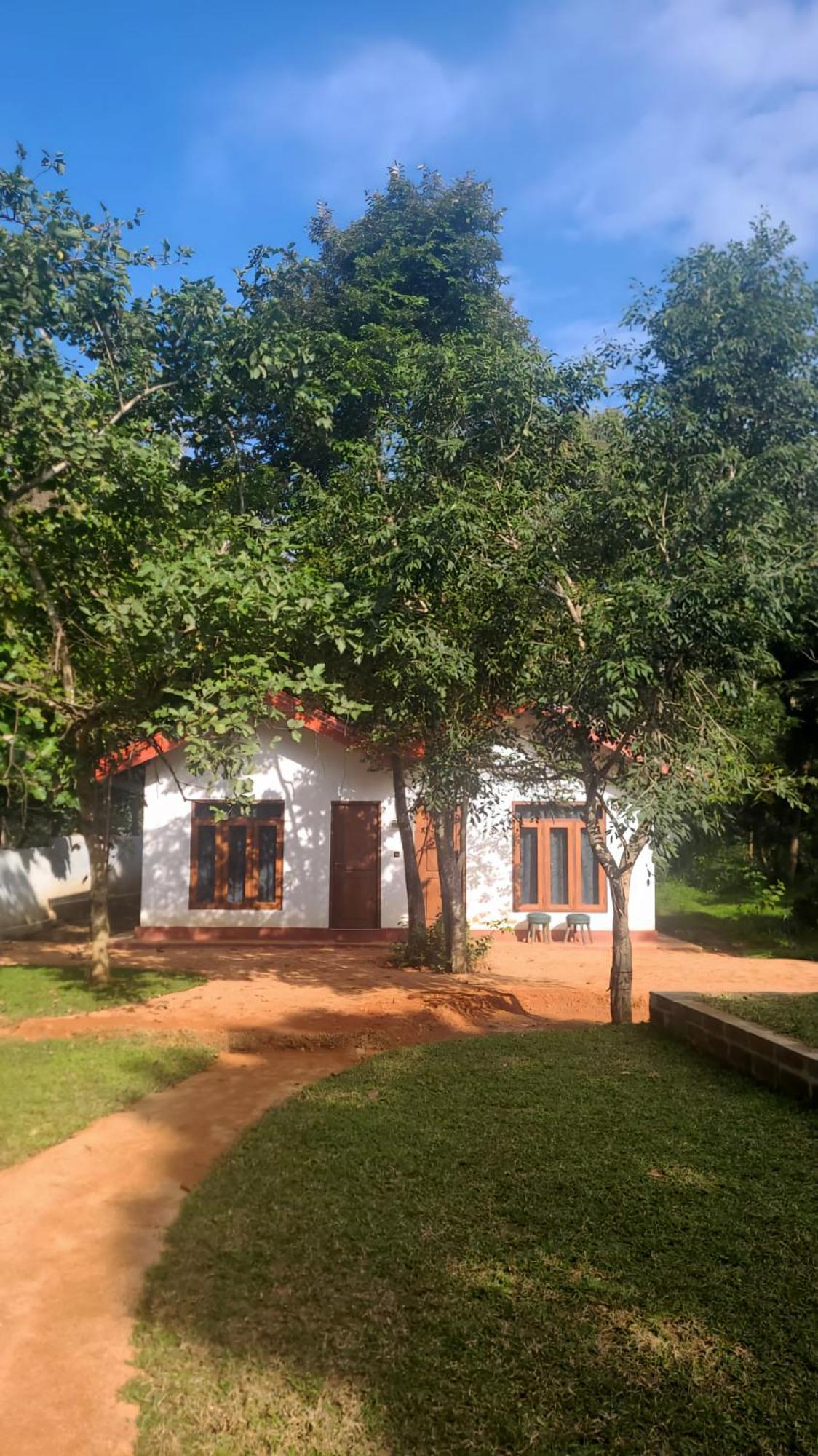 Lion King Jungle Cabanas Sigiriya Eksteriør bilde