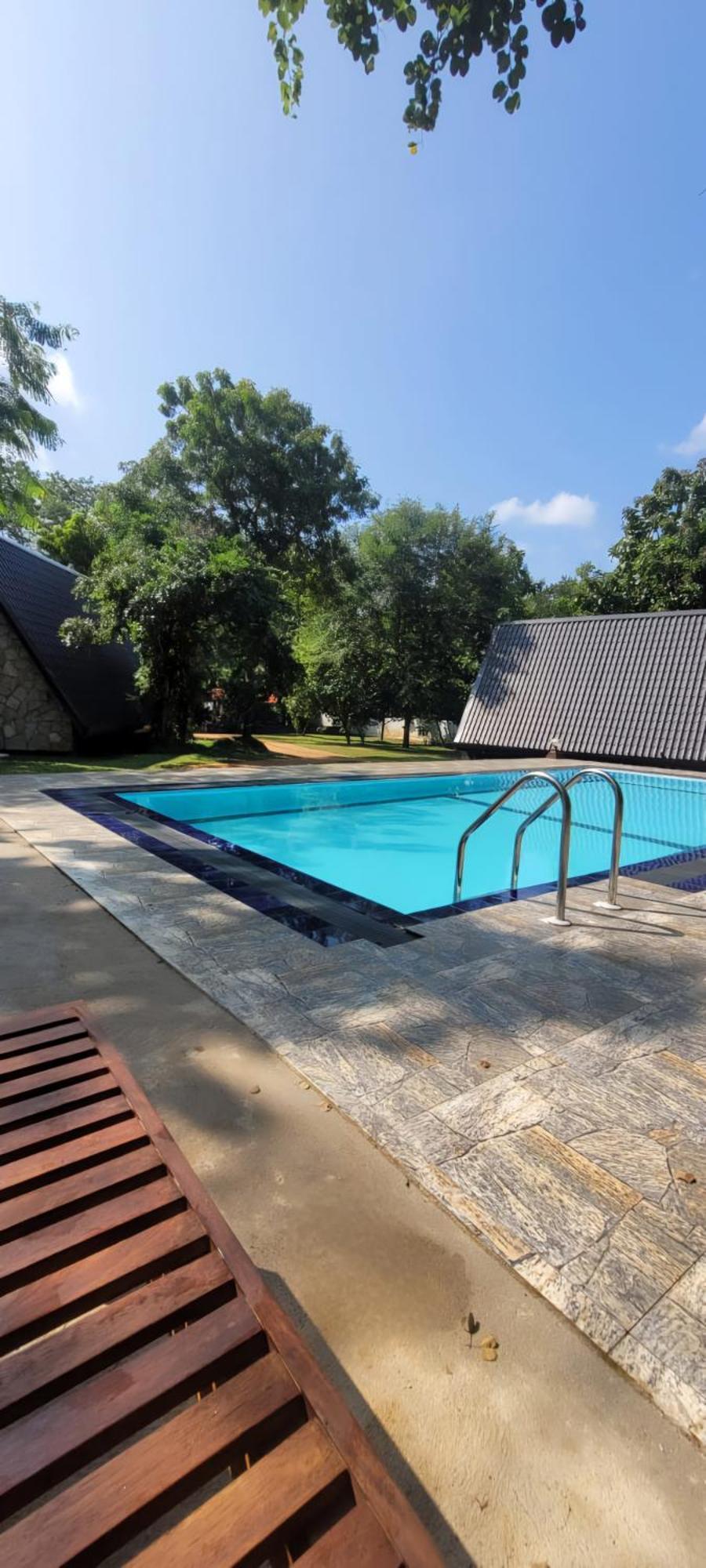 Lion King Jungle Cabanas Sigiriya Eksteriør bilde